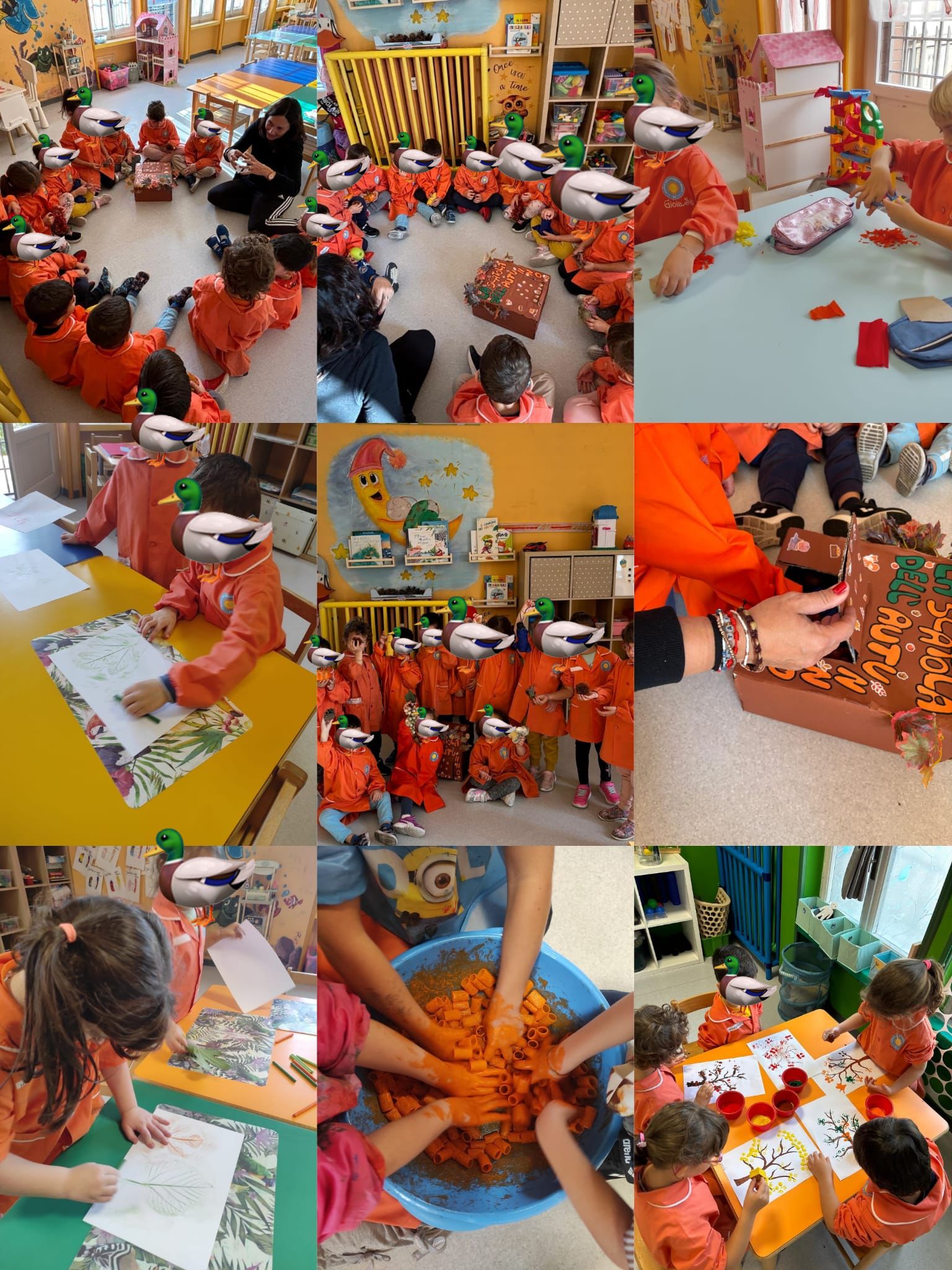 Sezione Anatroccoli 2025/2026 2