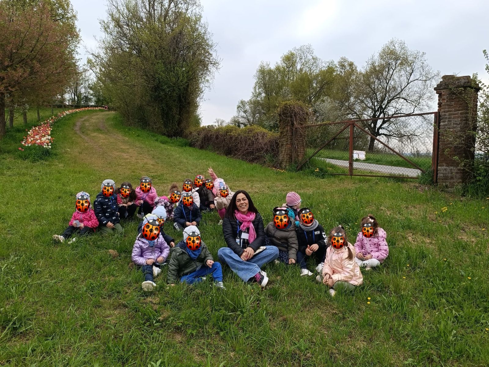 Attività delle Coccinelle