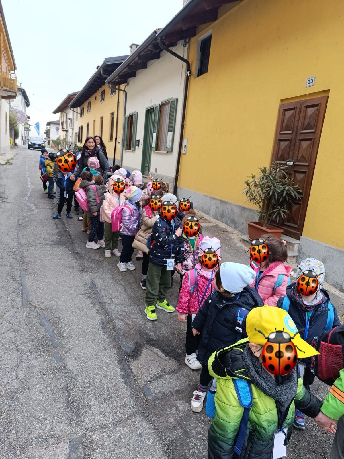 Attività delle Coccinelle