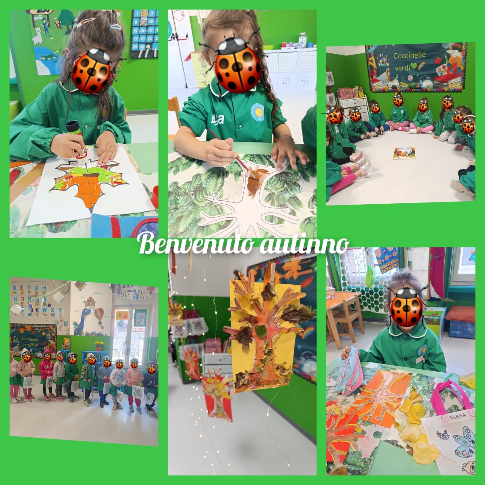 Sezione Coccinelle 2025/2026 3