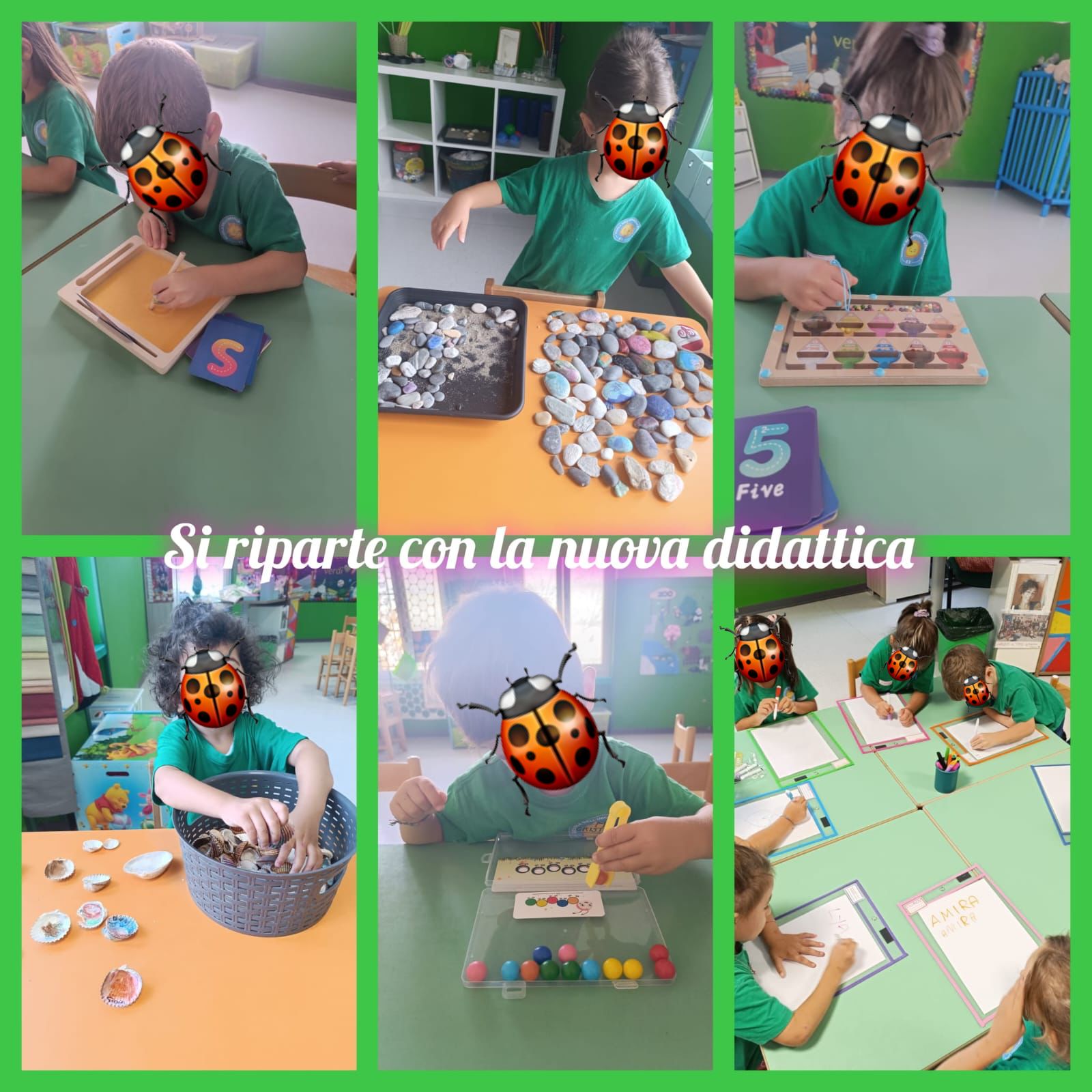 Sezione Coccinelle 2025/2026 4