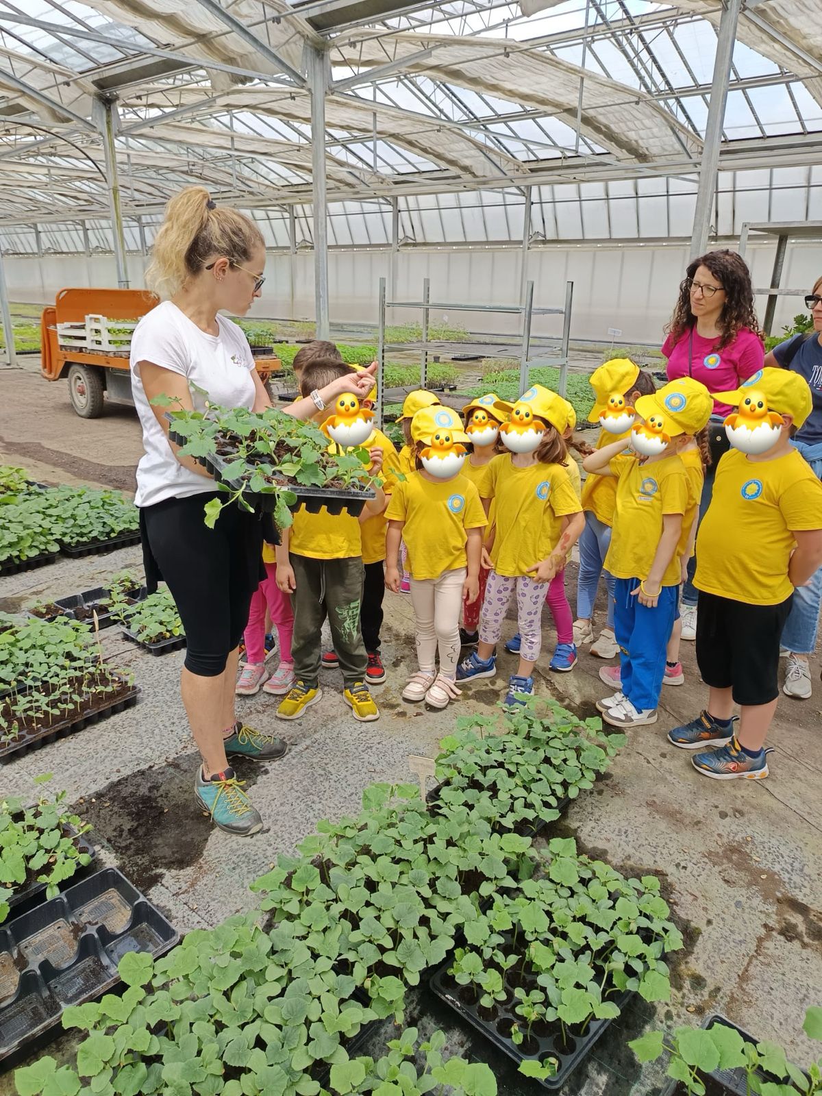 Attività dei Pulcini 3