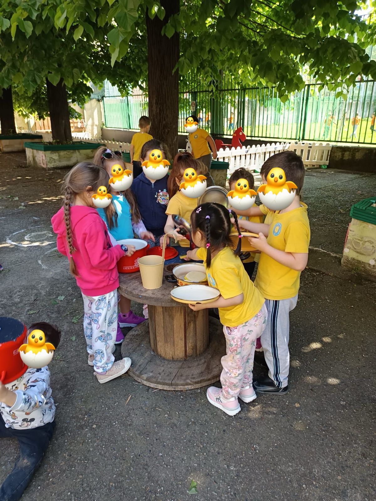 Attività dei Pulcini 5