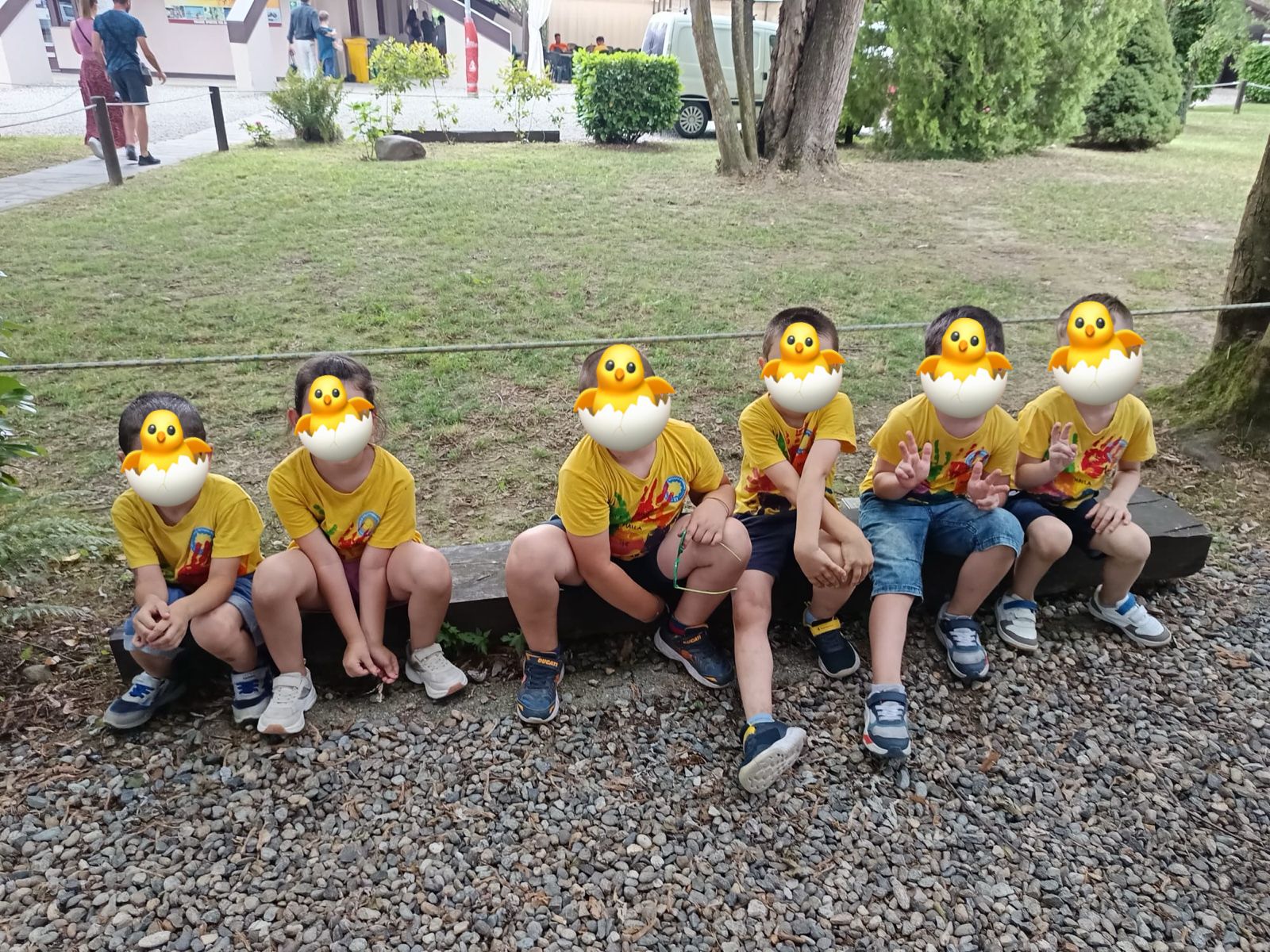 Attività dei Pulcini 9