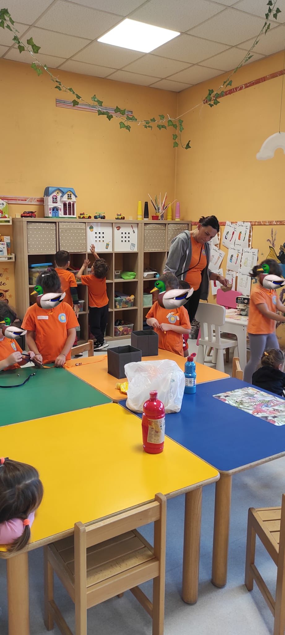 Sezione Anatroccoli 2