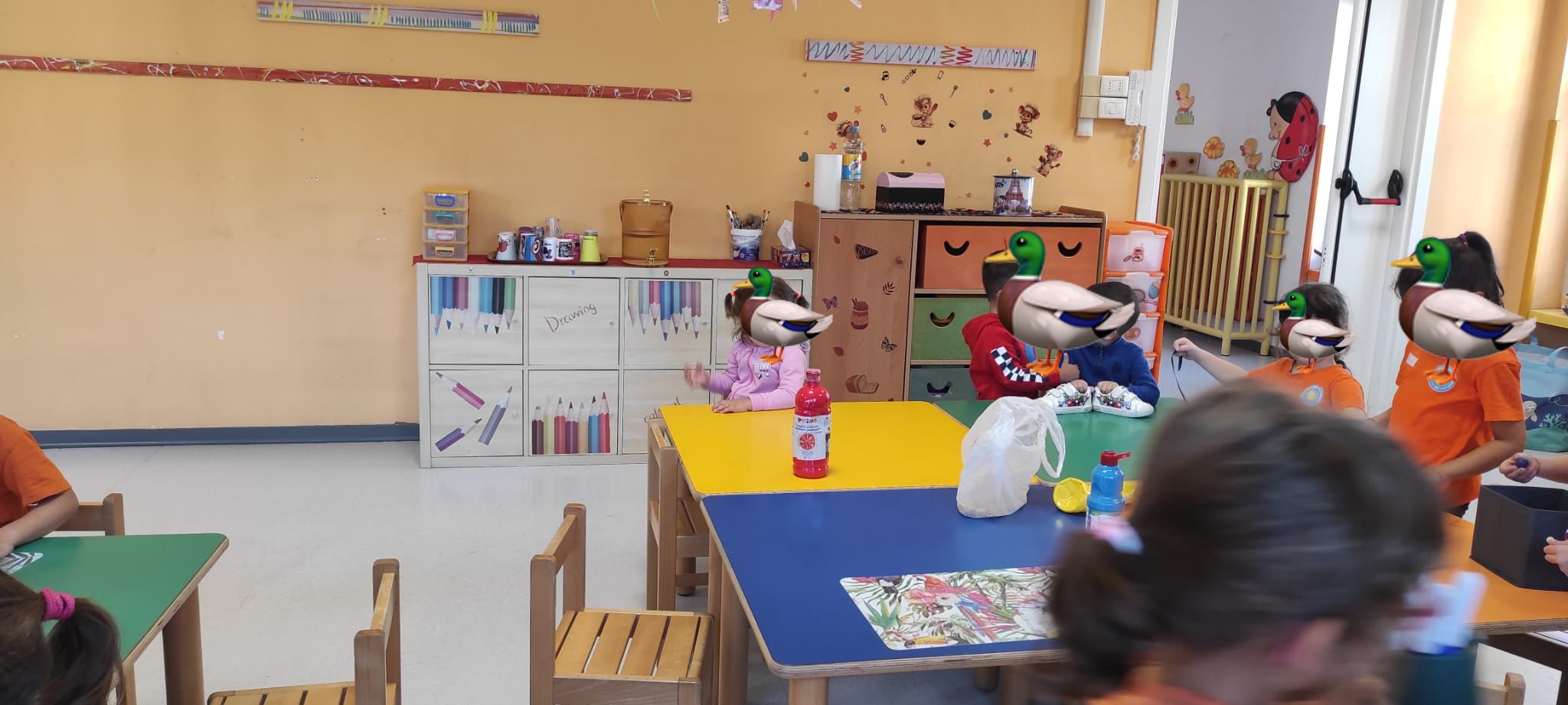 Sezione Anatroccoli 3