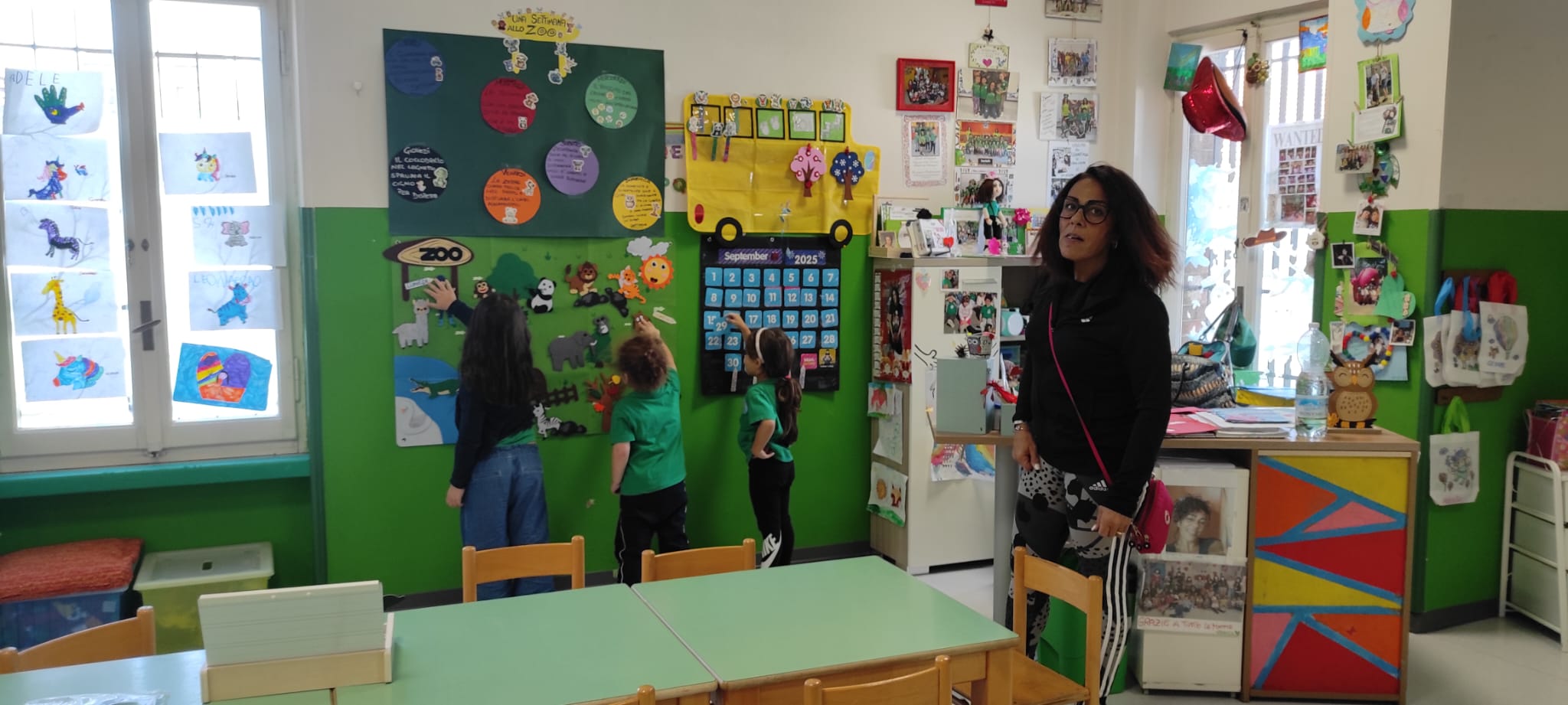 Sezione Coccinelle 3